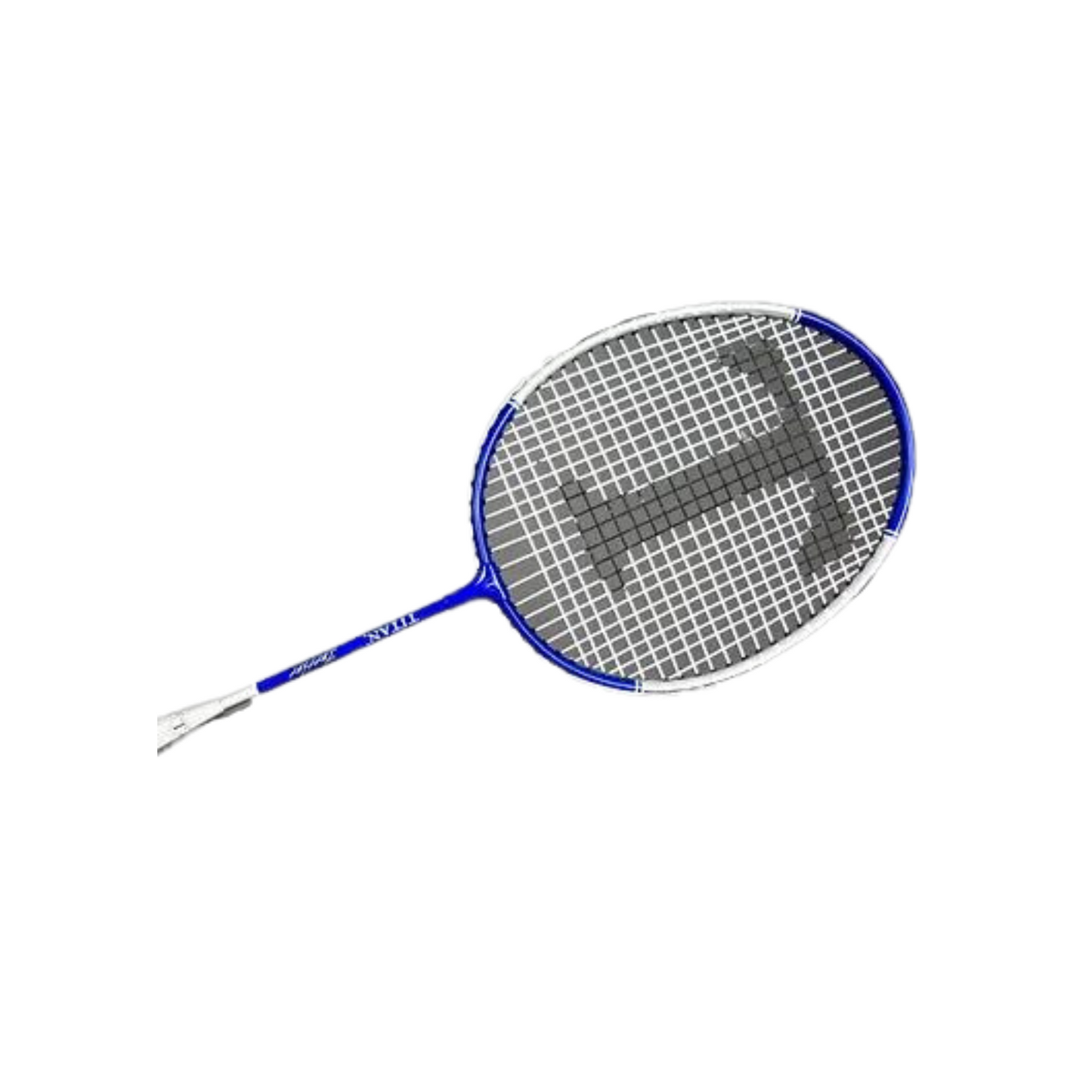 Terrier - junior badminton